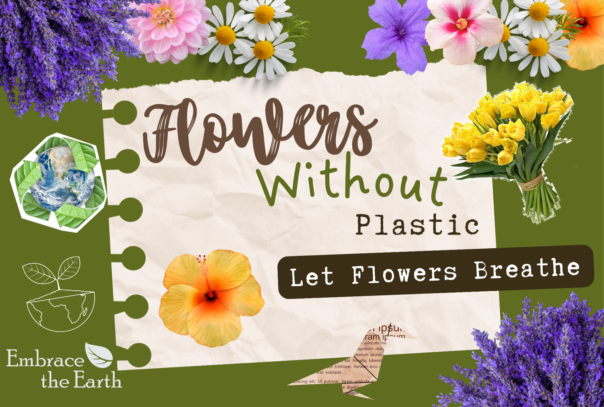 Flowers Without Plastics, Brussels 2025